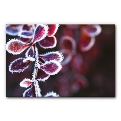 schallabsorber-mit-motiv-akustikbilder-wandabsorber-raumakustik-verbessern-winterzweig-2-3