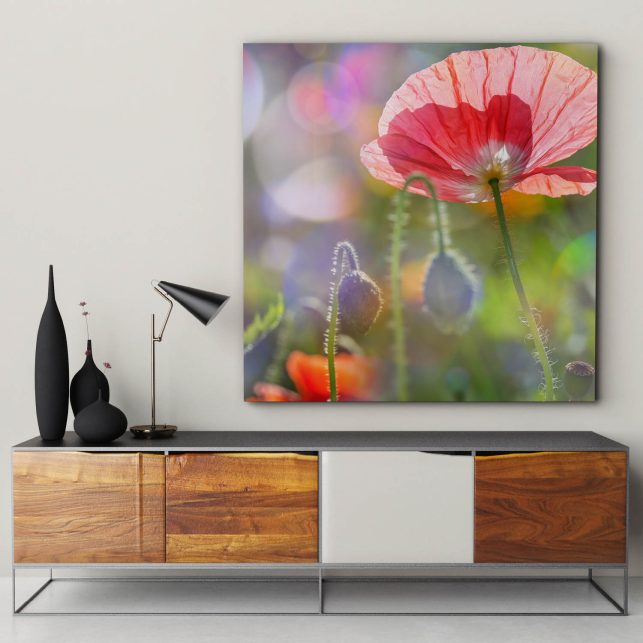 Akustik im Wohnzimmer verbessern mit einem Akustikbild