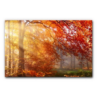 schallabsorber-raum-wand-akustikbild-motiv-landschaft-wald-herbst-3-6