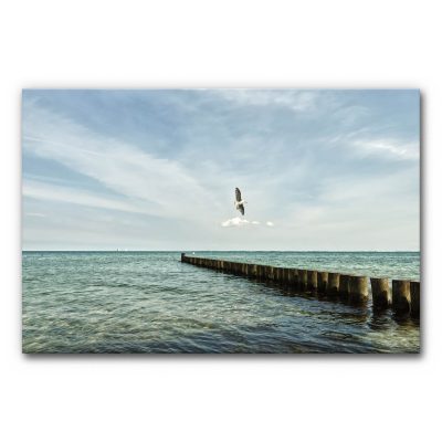Akustisches Wandbild Ostsee zeigt eine ruhige Meereslandschaft mit flachem Wasser, einer ins Meer ragenden Holz­buhne und einer darüber fliegenden Möwe vor hellem Himmel.