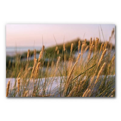 schallabsorber-wand-bilder-akustikbild-manufaktur-graeser-3-3