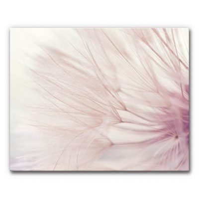 schallabsorber-wand-design-akustikbilder-dandelion-100x80