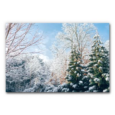 Akustikbild Winterwald 3 - Ein Foto eines winterlichen