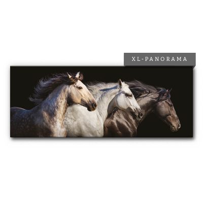 Akustikbild 3 Horses