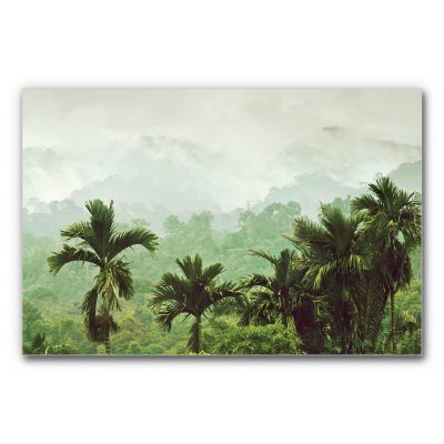 Akustikbild mit tropischem Regenwald