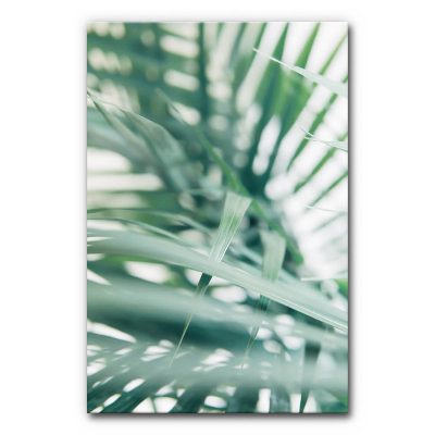 schallschutz-akustikbilder-wandbilder-wohnzimmer-kueche-praxis-buero-hall-reduzieren-motive-natur-palmen-gruen-tropical-6