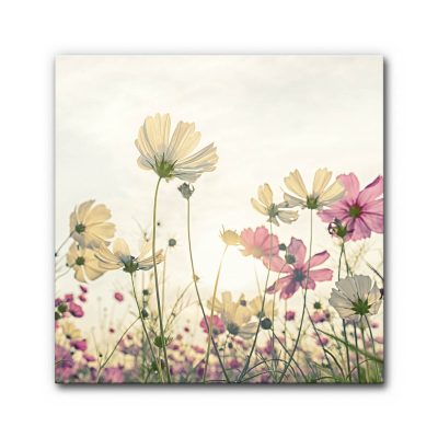 schallschutz-buero-home-office-homeoffice-hall-entfernen-akustikbilder-raumakkustik-verbessern-landschaft-sommer-wiese-kosmeen-