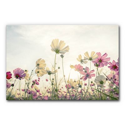 schallschutz-buero-home-office-homeoffice-hall-entfernen-akustikbilder-raumakkustik-verbessern-landschaft-sommer-wiese-kosmeen-3