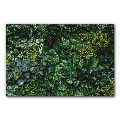 Schalldämmendes Bild grüne Wand zeigt dicht angeordnete, unterschiedliche Blattformen, die eine üppige vertikale Pflanzenfläche darstellen.