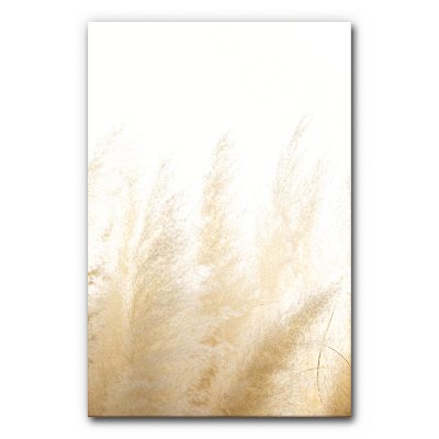 schallschutz-natur-akustikbilder-akkustik-schallabsorber-raumakustik-nachhall-gras-pampas-pampasgras-6