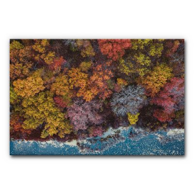 schallschutzbild-wandabsorber-akustikbild-raumakustik-verbessern-motiv-natur-wald-herbst-kueste-meer-indian-summer-2