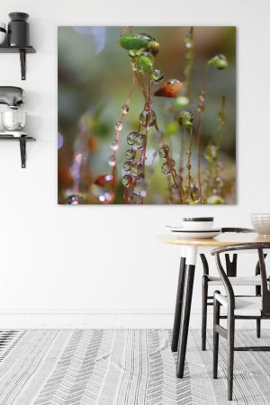 schallschutzelement-akustikbilder-manufaktur-wandbild-mossbild-herbstdeko-moos-morgentau-1-42