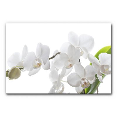 wandbild-schallabsorber-akustikbild-motiv-wellness-massage-orchidee-2-3