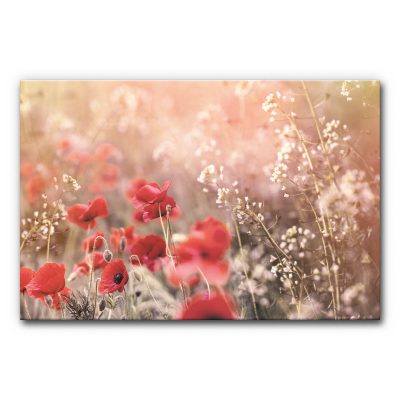 wandbild-schallabsorber-akustikbild-raumakustik-praxis-buero-esszimmer-wiese-mit-mohn-3