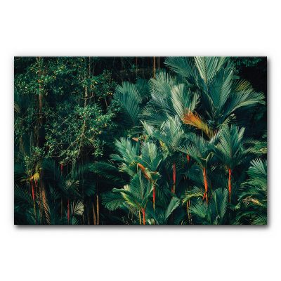 Akustikbild mit Dschungelmotiv