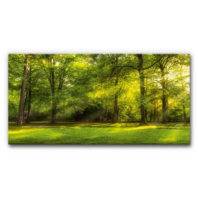 xxl-schallschutz-grossformat-akustikbild-panorama-wald-2-