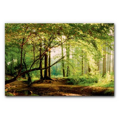 xxl-schallschutz-grossformat-akustikbild-panorama-wald-3-120x80-1