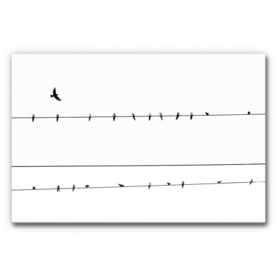 Akustikbild Vögel in Reihe