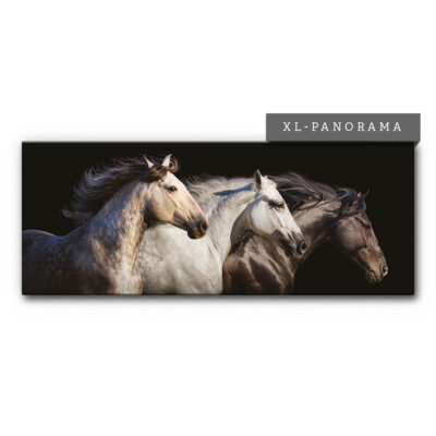 Akustikbild 3 Horses