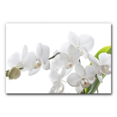 Akustikbild Orchidee 2